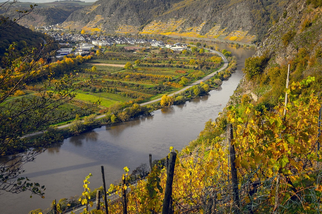 Rotwein Wein Weisswein Deutschland Riesling Dornfelder