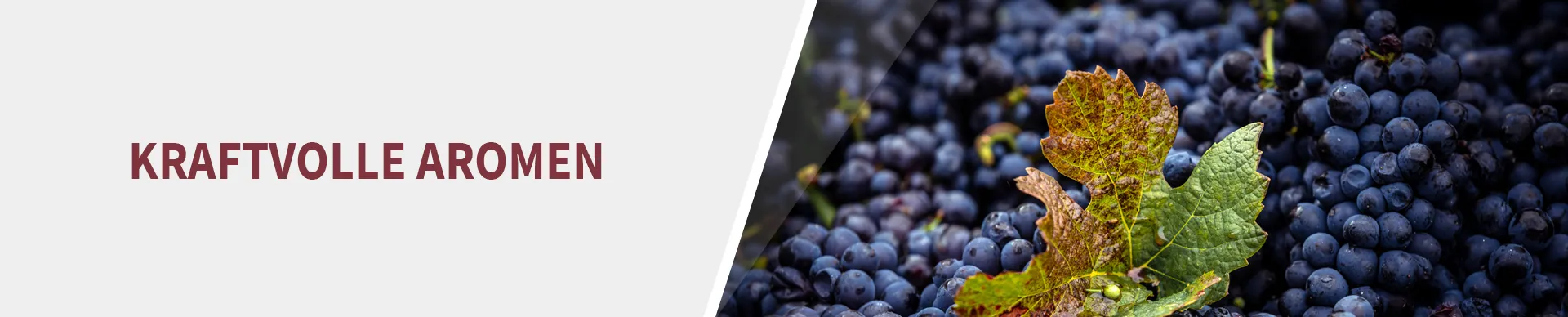 Trauben - kraftvolle Aromen Trauben - kraftvolle Aromen