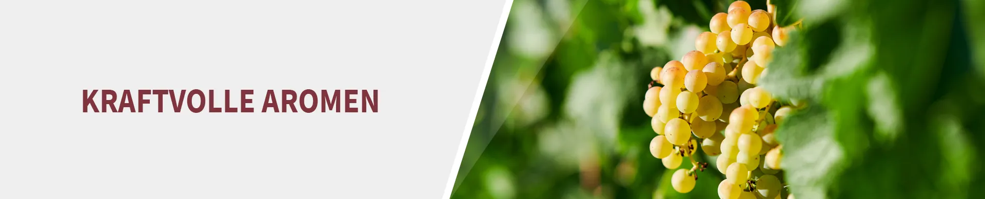 Weintrauben Weintrauben