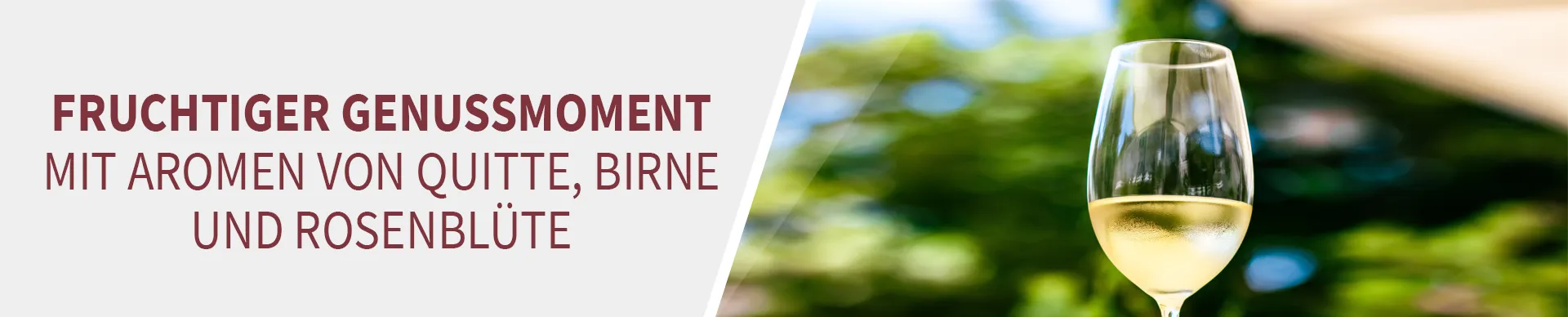 Lust auf Genuss WEISS süß Lust auf Genuss WEISS süß