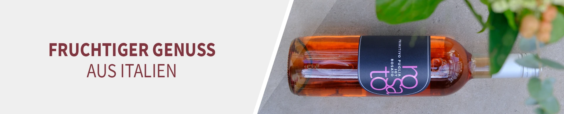 Primitivo Rosato Primitivo Rosato