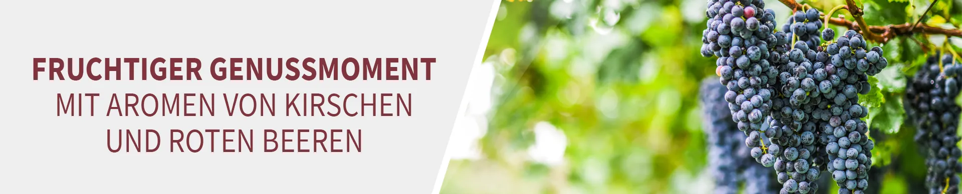 Lust auf Genuss aus roten Beeren Lust auf Genuss aus roten Beeren