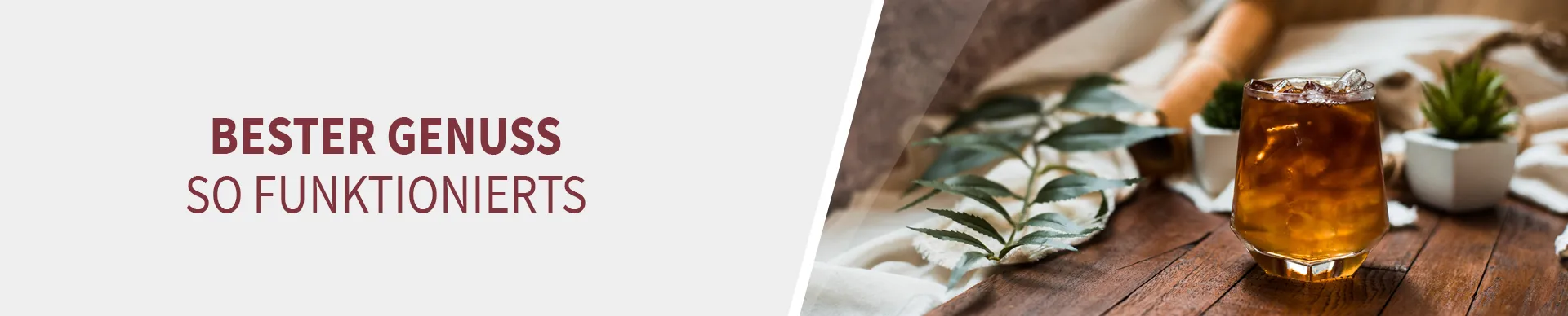 Haselnuss Brandy im Glas Haselnuss Brandy im Glas