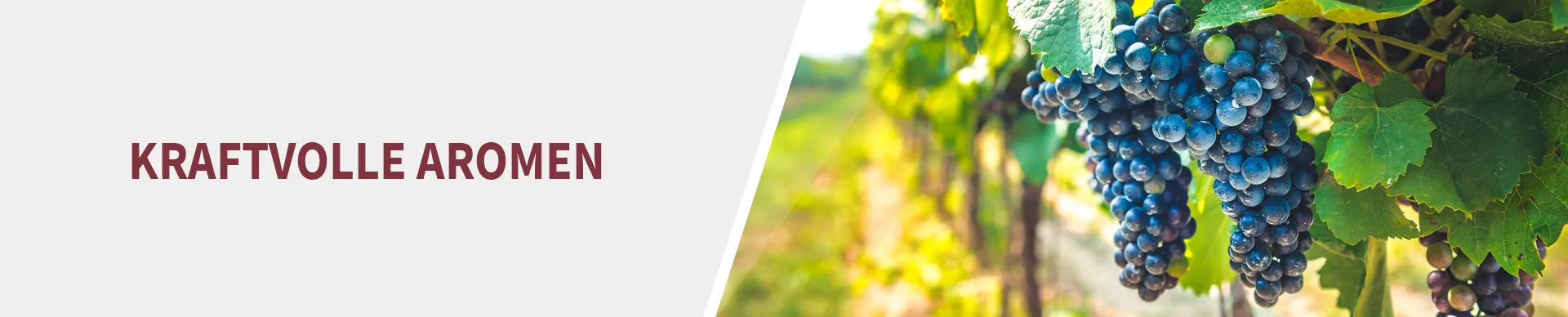 Weintraube Dornfelder