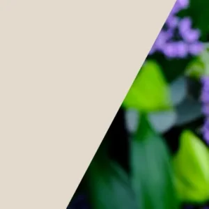 Brindisi Riserva 1,5l World Wine Gallery