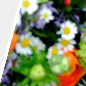 Pallhuber Genuss lieblich-süß Pallhuber