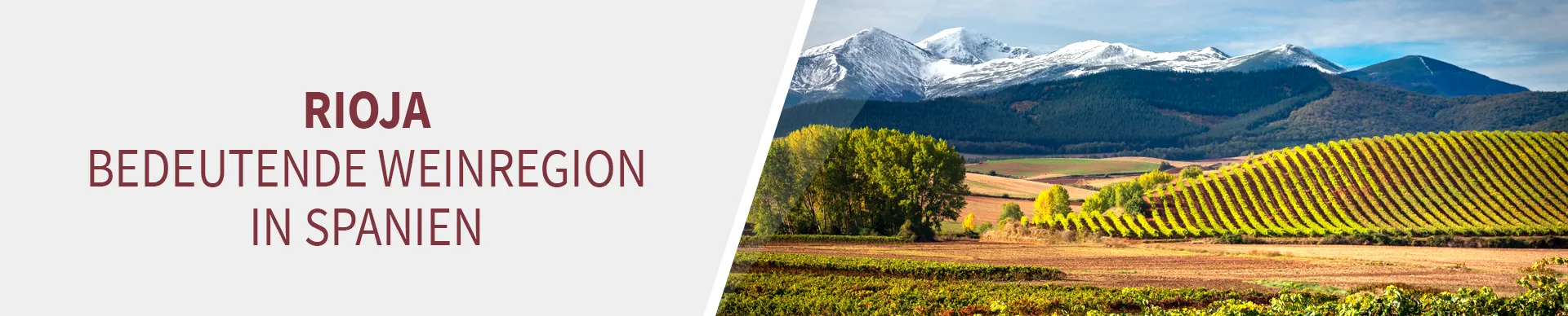 Weinregion Rioja