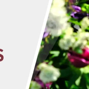 Weißweinpaket - Lust auf Genuss - trocken Pallhuber