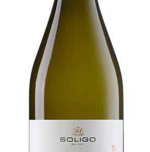 2025 Pinot Grigio
