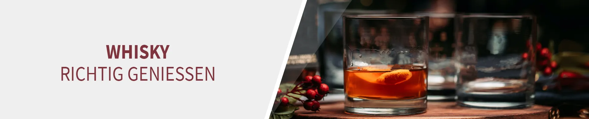 Whiskygläser Whiskygläser