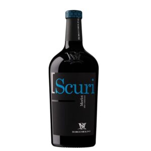 2024 I Scuri Merlot