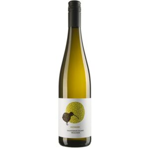 2025 Sauvignon Blanc