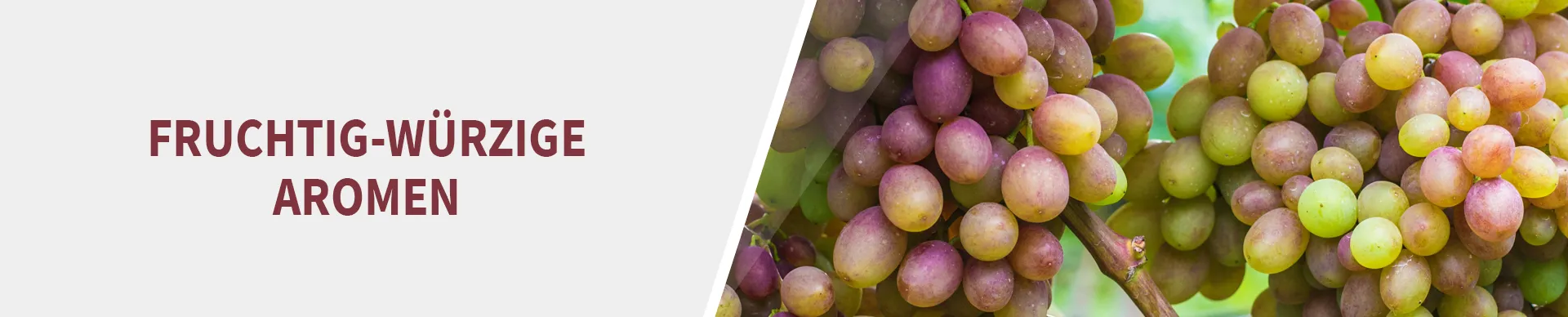 Souvignier Gris Traube Souvignier Gris Traube