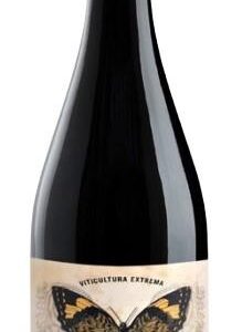2018 Marco Valerio Marcial DOP Calatayud