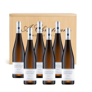 2024 Gimmeldinger Kapellenberg Riesling 6er Holzkiste
